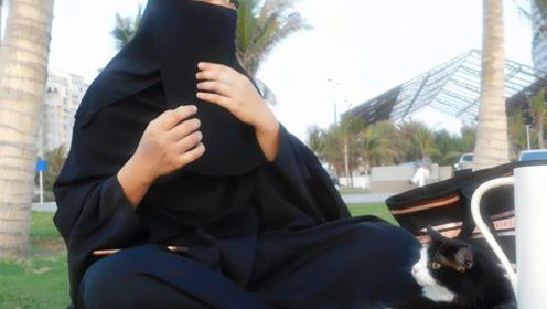 搞笑娱乐吃瓜君是谁,网络红人的崛起之路